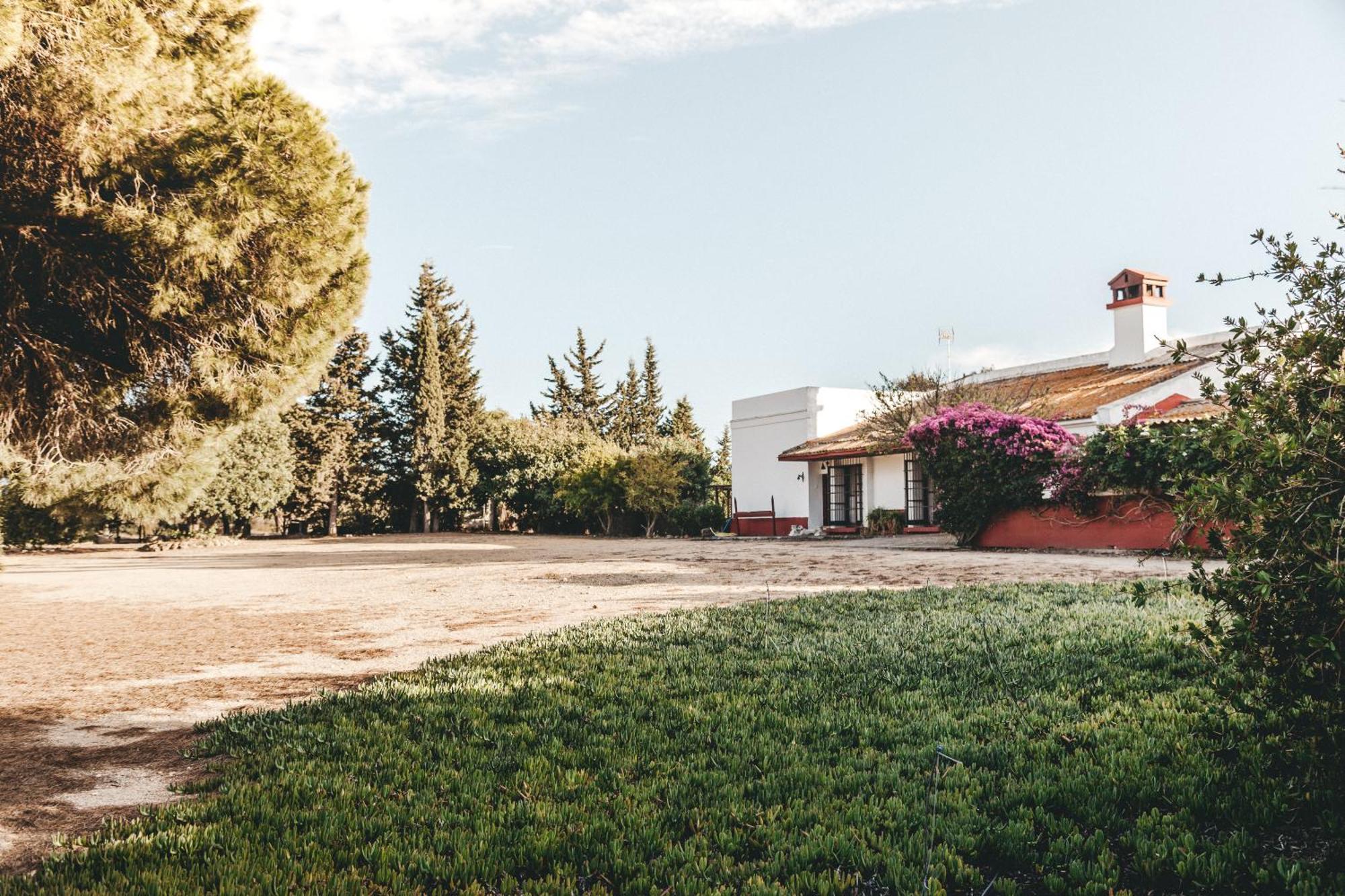Casa Dehesa De Las Yeguas Cadiz Bagian luar foto